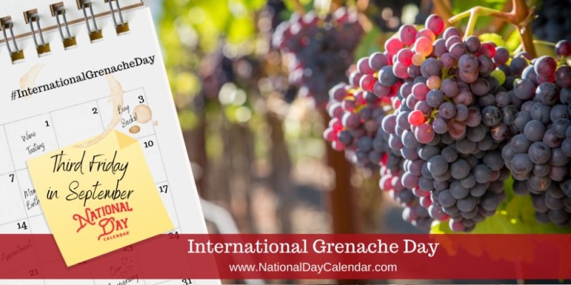 Create meme: grapes, grape vine, grape varieties