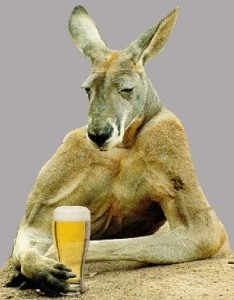 Create meme: kangaroo, kangaroo, avatar is a kangaroo