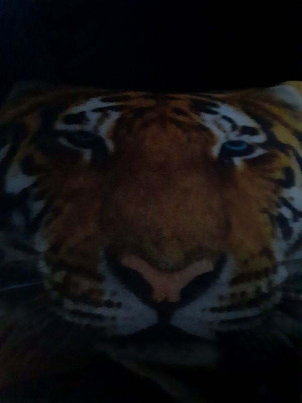 Создать мем: полосатый тигр, тигр картина, тигр агрессивный