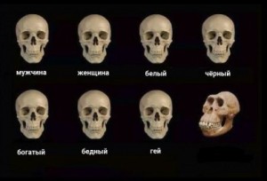 Create meme: bmw driver skull, meme of skulls, memes about the skull