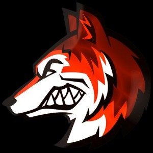 Create meme: devil fox, the picture of a lion with the inscription cf e.sports, avatars for the clan in cs go