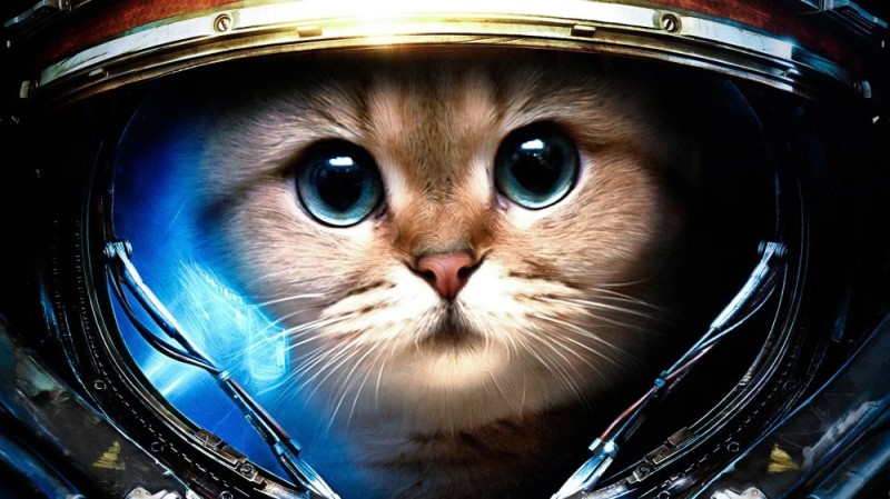 Создать мем: кот космонавт арт, котик космонавт, котики в космосе