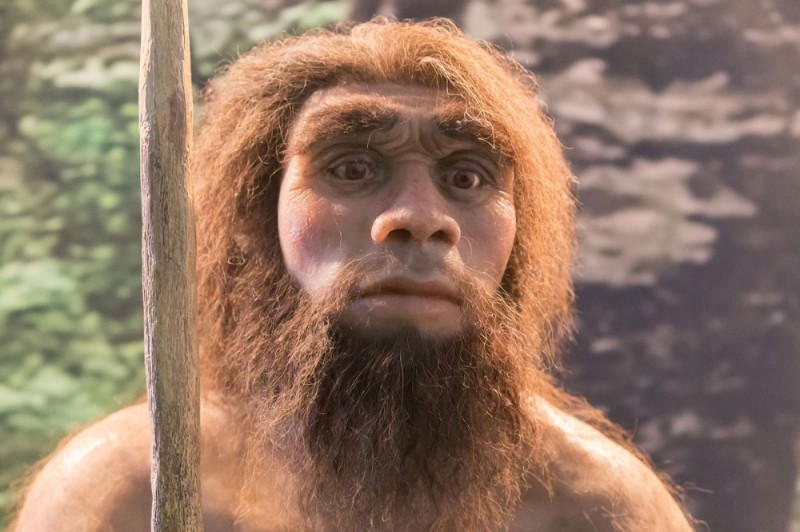 Создать мем: хомо неандерталец, гомосапиенс и неандерталец, неандерталец и хомо сапиенс