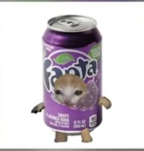 Create meme: animals cute, fanta grapes, fanta grape drink