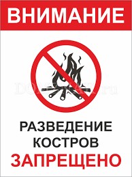 Create meme: bonfires are prohibited, Bonfires are prohibited., ban on bonfires