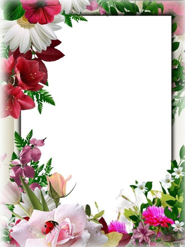 Create meme: frame card, frame for congratulations, greeting frames for text