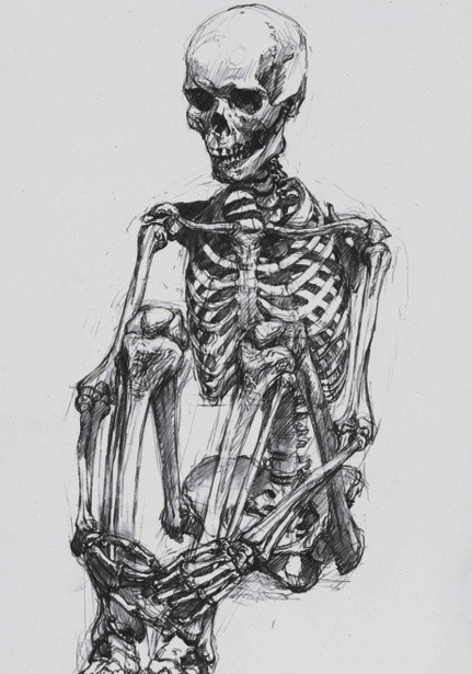 Создать мем: рисунки для срисовки скелет, скелет человека скетч, скелет рисунок