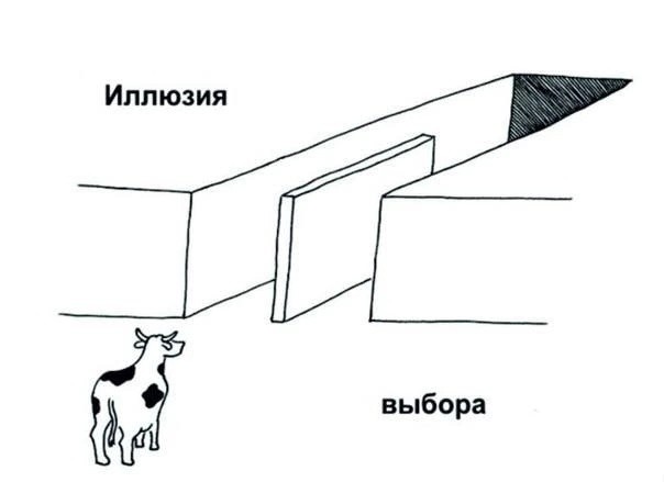 Создать мем: иллюзия свободы выбора, иллюзия выбора мем, корова иллюзия выбора