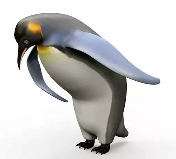 Create meme: penguin meme, the penguin bows meme, the bowing penguin
