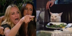 Create meme: meme with screaming woman and a cat, meme woman shouting at the cat, the meme with the cat and the woman