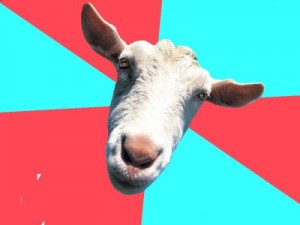 Создать мем: funny farm, sheep, humor