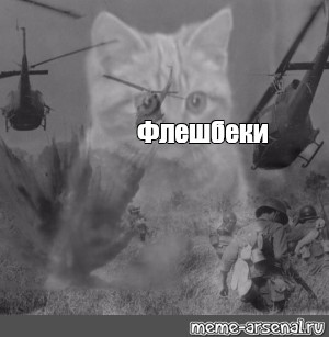 Share in Facebook. #the Vietnam flashbacks. flashback meme with a cat, Viet...