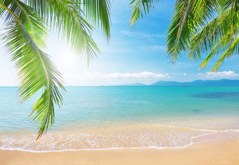 Create meme: beautiful beach , summer beach, sea beach palm trees