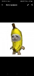 Создать мем: человек, животные смешные, banana