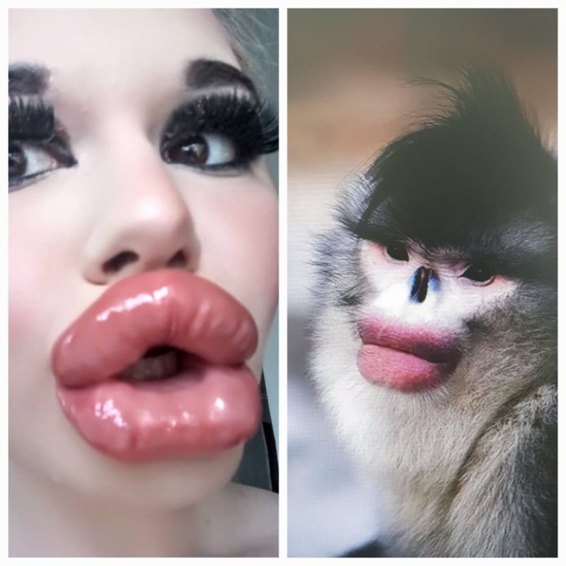 Create meme: fashion for big lips, big lips, monkey with red lips