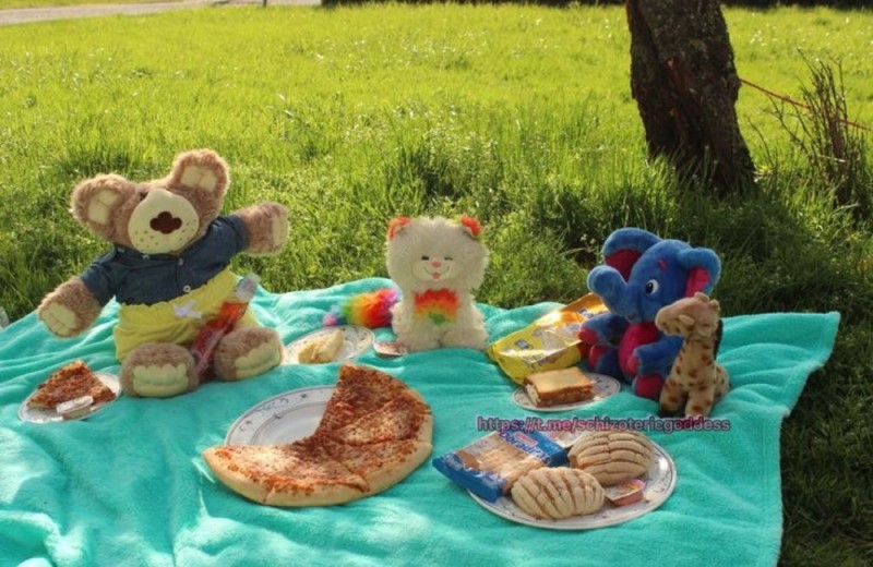 Create meme: Teddy bear picnic day - USA, picnic with a teddy bear, picnic
