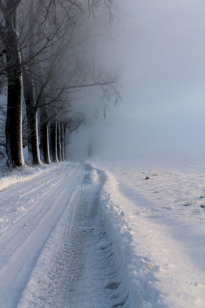Create meme: winter landscape, winter snow , winter fog