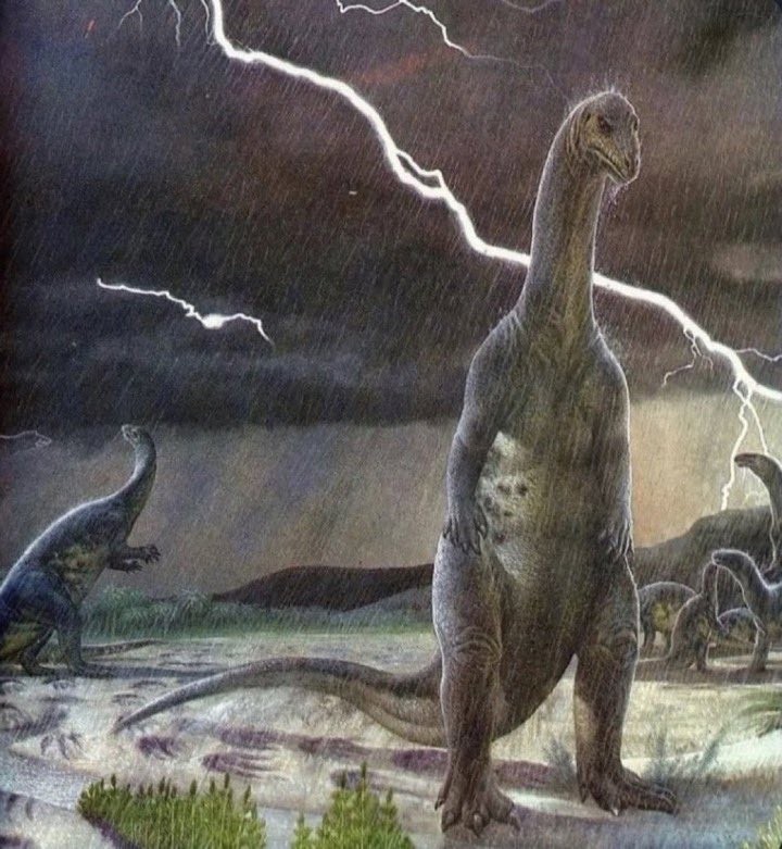 Create meme: Brachiosaurus, John Sibbick dinosaurs, extinct dinosaurs