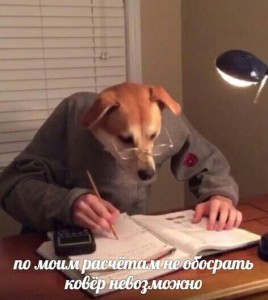 Создать мем: funny, нестандартный юмор, dog edible meme