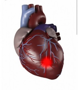 Create meme: stenosis of the pulmonary artery photos of children, قلب, picture of human heart for children