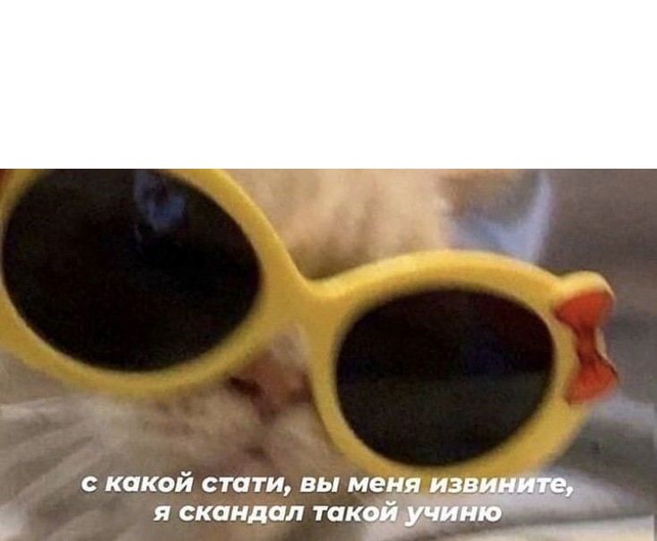 Create meme: glasses glasses, glasses , I'm going to make such a scandal with a meme with a cat