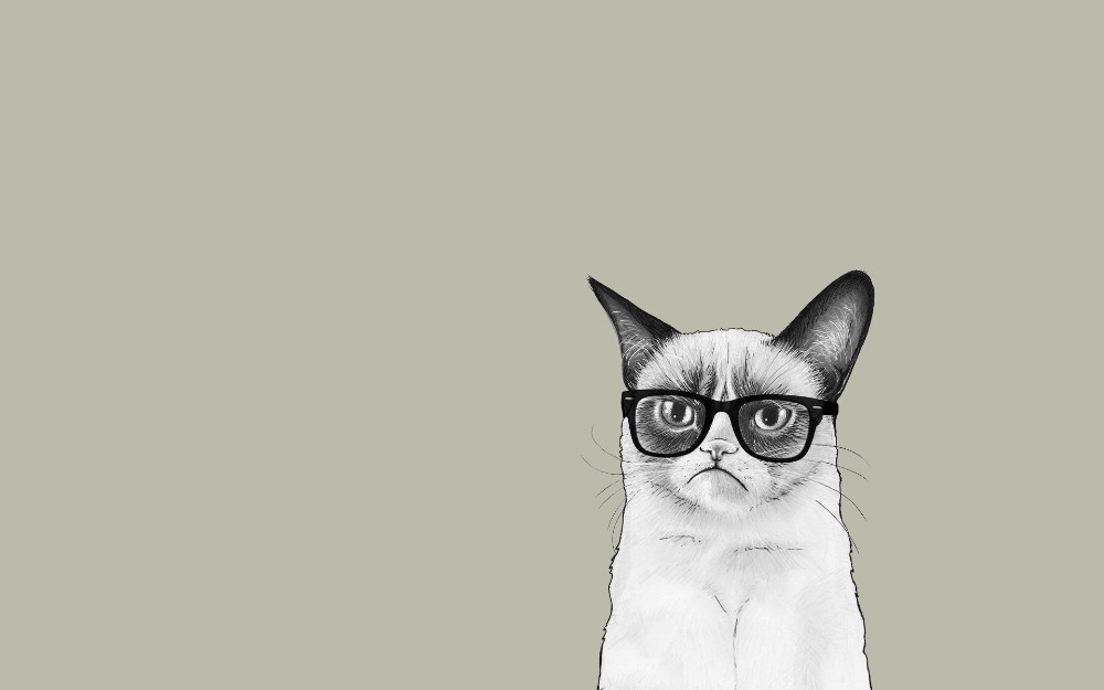 Создать мем: кот арт минимализм, недовольный кот рисунок, коты минимализм