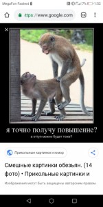 Create meme: monkeys mate, monkey funny , macaque monkey pictures