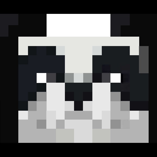 Create meme: panda from minecraft, panda's face from minecraft, Panda minecraft