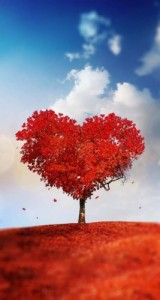 Создать мем: aşk, fall in love, tree