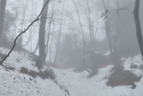 Create meme: winter , russian winter landscape, fog forest