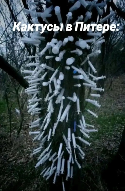 Create meme: junkie trees, wood in syringes, street garland