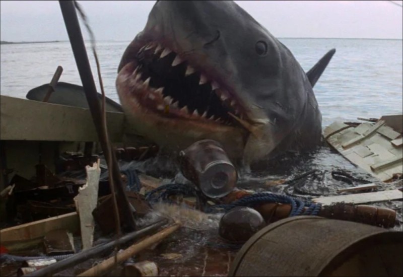 Create meme: jaws movie 1975 shark on the side, jaws movie 1975, jaw 