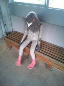 Создать мем: pigeon, creepy, странно