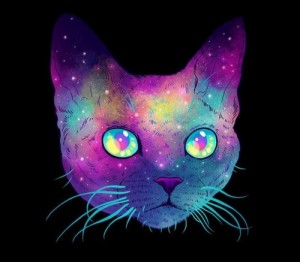 Создать мем: cat in space, space cat, Нельзя с амфетамином мешать кокаин