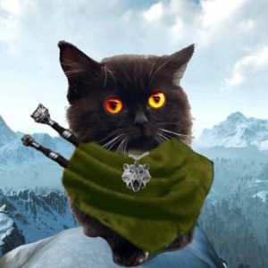 Create meme: king Arthur, the elder scrolls, cat
