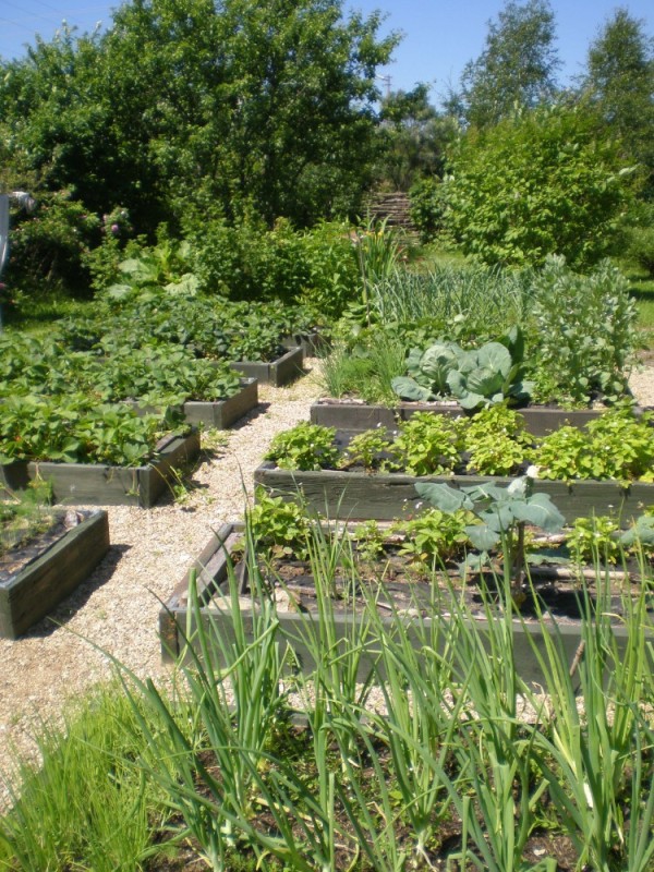 Create meme: beautiful garden beds in the country, gardening, the garden 