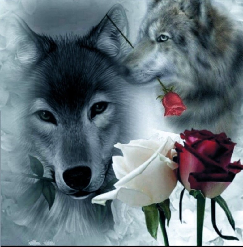 Create meme: wolf with rose in teeth, wolf with flowers, wolf with rose