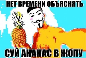 Создать мем: суй ананас, нет времени объяснять суй ананас анонимус, нет времени объяснять суй ананас