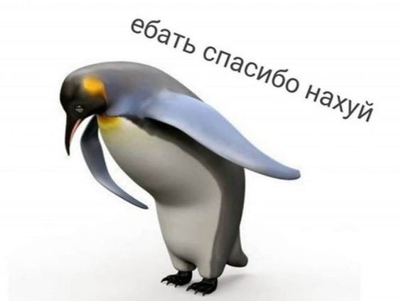 Создать мем: пингвин спасибо, пингвин поклон, пингвин спасибо мем