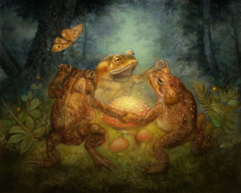 Create meme: frogs and toads, the frog is fabulous, toad art