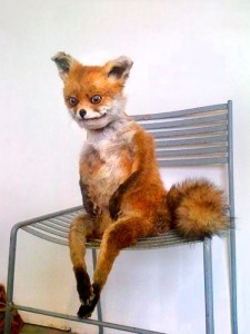Create meme: a stuffed Fox, uporotyh Fox meme, meme stoned Fox