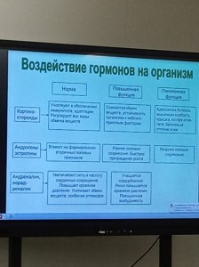 Create meme: management, system, testes hormones and functions, table