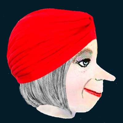 Create meme: women's turban, female turban, turban
