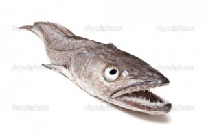 Create meme: hake, hake, hake fish