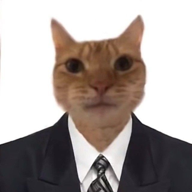 Create meme: cat in a business suit, cat , second person