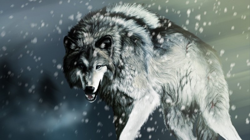 Create meme: wolf wolf, wolf art, the grin of a wolf