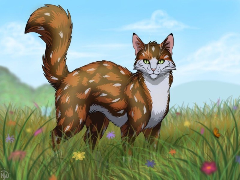 Создать мем: травы коты воители, ежевичная звезда коты воители, коты воители знамение звезд