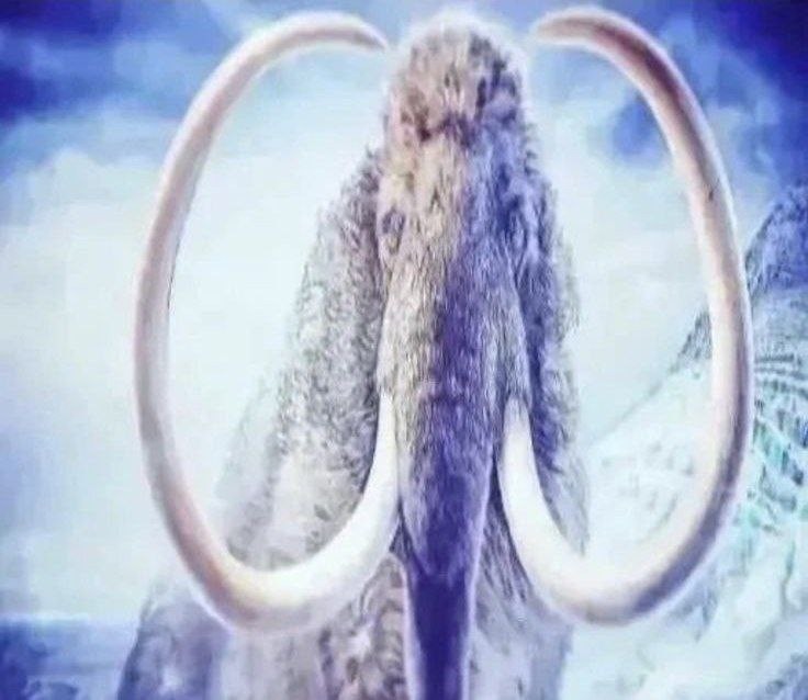 Create meme: mammoth, the woolly mammoth , mammoths mammoths