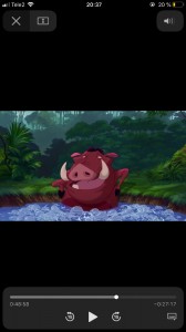 Create meme: cartoon Hakuna Matata, Timon and Pumbaa characters, Pumbaa gifs