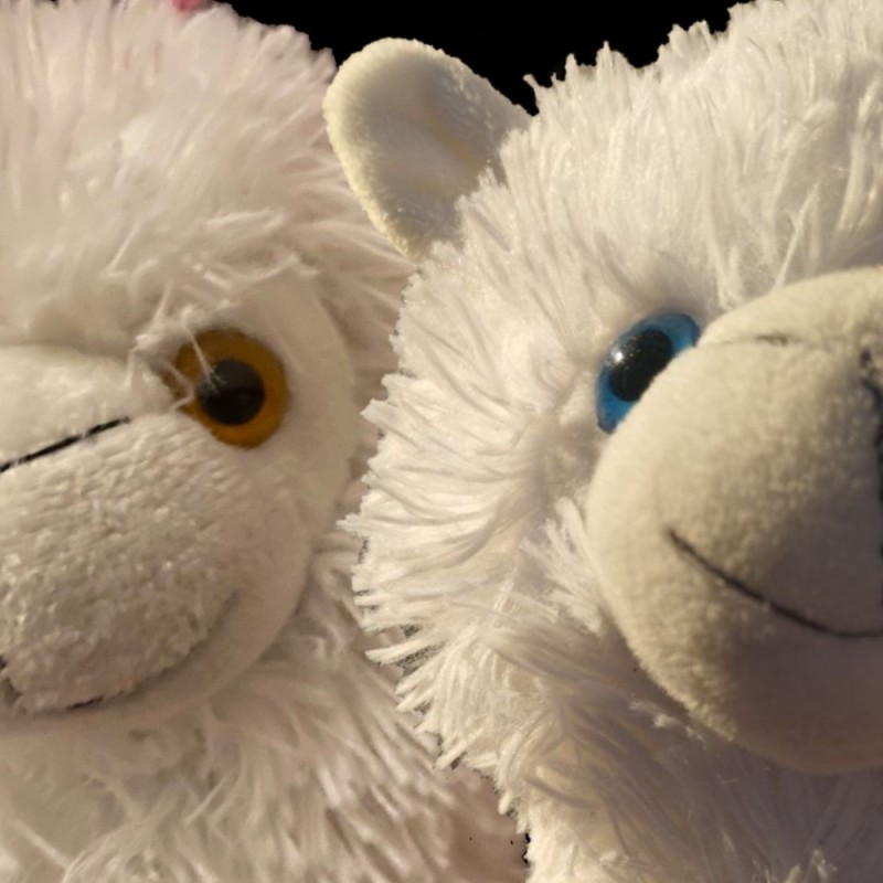 Create meme: toy llama, soft toy llama, white bear 